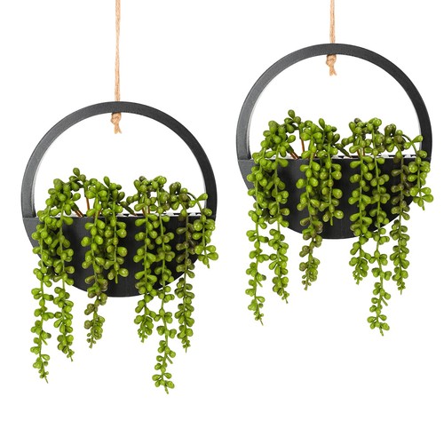 Hobyhoon hanging plant - hobyhoon,