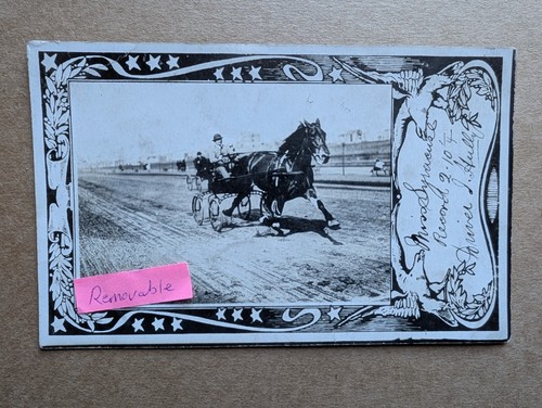 Old photo horse - photo, racing