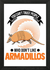 Armadillo Gift Framed Wall Art