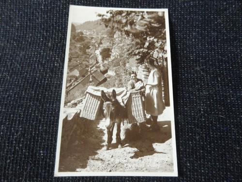 Bread delivery donkey - delivery, by