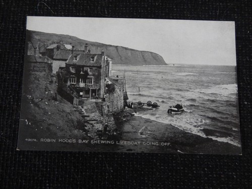 Robin hoods bay - robin,