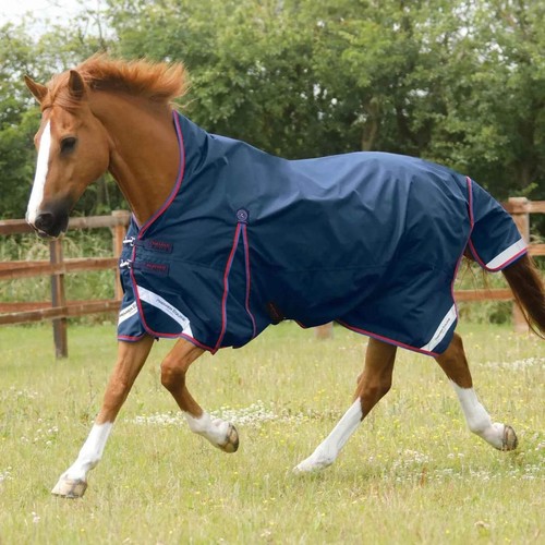 Premier equine buster - premier, 0g