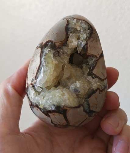 Septarian dragon egg crystal - dragon,