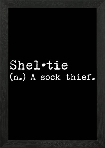 Sheltie dog sock thief - dog,