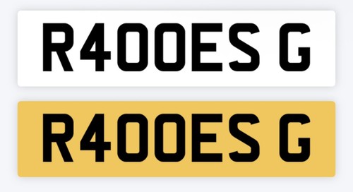 Raees private number plate - raees,