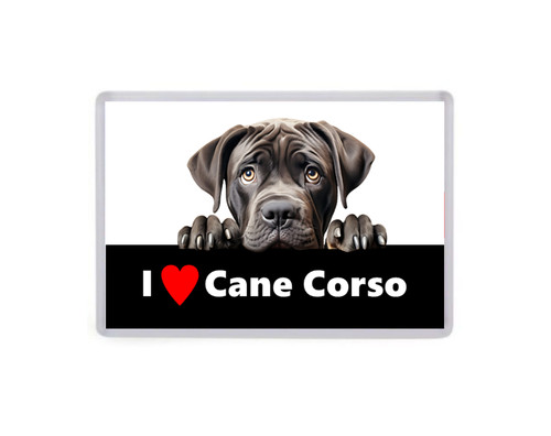 Love cane corso - cane, dogs