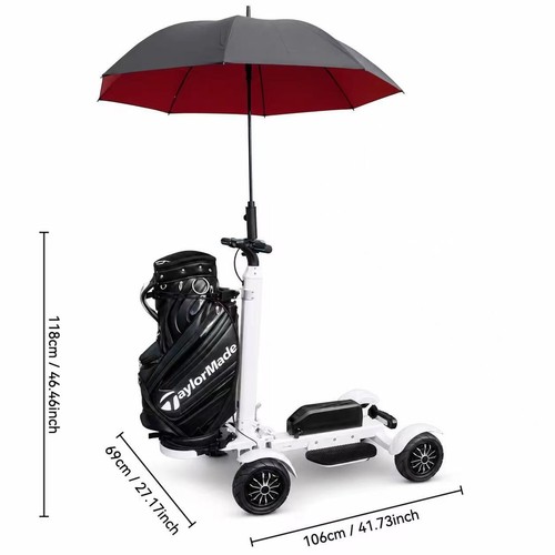 Stand electric golf - on,