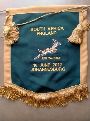 South africa springboks - africa,
