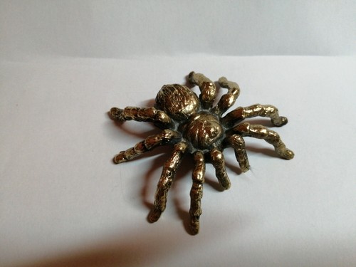 Spider tarantula brass - tarantula,