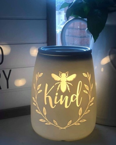Bnib scentsy wax - bnib, warmer