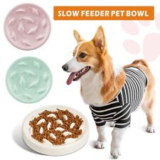 Puppy Small Dog Cat Junior