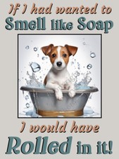 Jack Russell Terrier Pet Dog