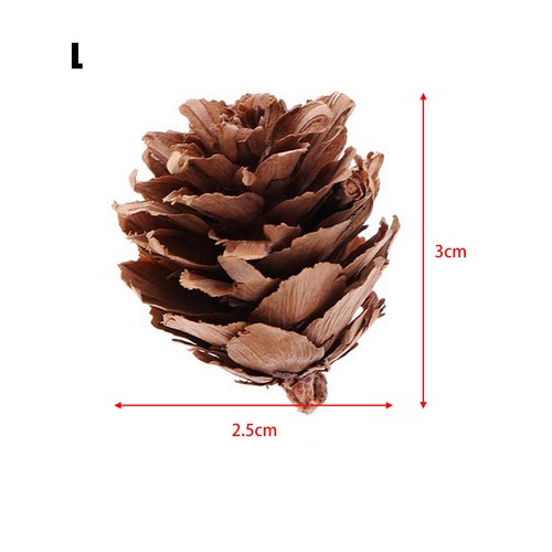 Mini christmas pine cones - pine, tiny