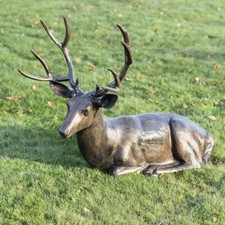 Stunning lying stag garden - stag,