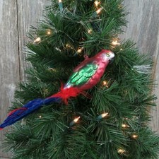 Red Macaw Parrot Bird Glass