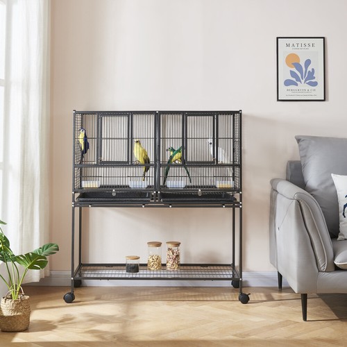 Large bird cages - bird, cage
