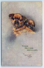 POSTCARD YOUNG GRIFFONS