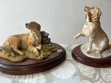 Sherratt simpson labrador - &, &