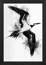 Frigate Bird Watercolor Framed