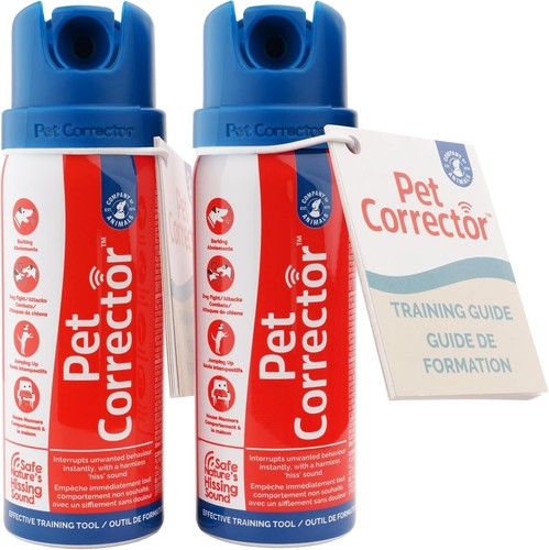 Pet corrector dog trainer - dog,