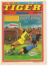 Tiger & Scorcher Comics CHOOSE