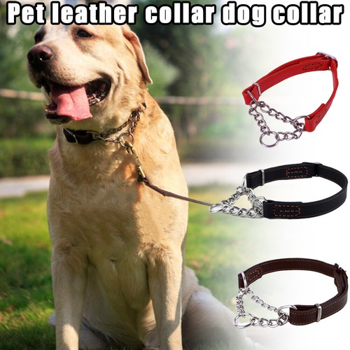 Pet dog half check choke - dog,