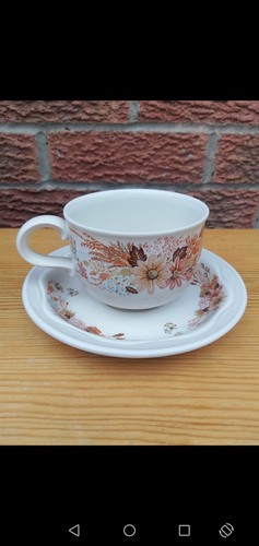 Poole pottery summer glory - pottery,