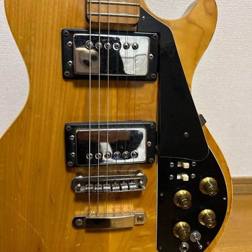 Bizarre guitar les paul - guitar,