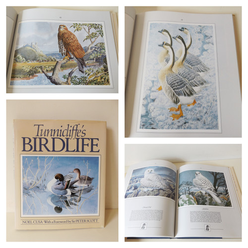 1985 tunnicliffe birdlife - tunnicliffe's,