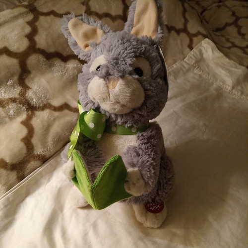Storytelling animated bunny - storytelling,