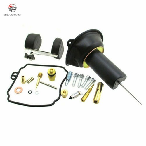 Carburetor repair kit - kit, float