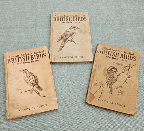 Vintage trio british birds - trio,