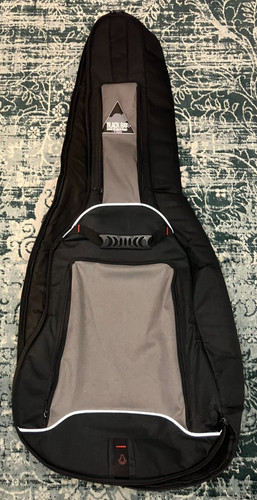 Black rat guitar - rat, gig