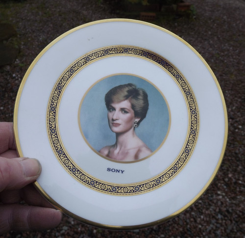 1991 diana princess wales - diana,