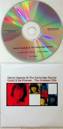 David cassidy the - david,