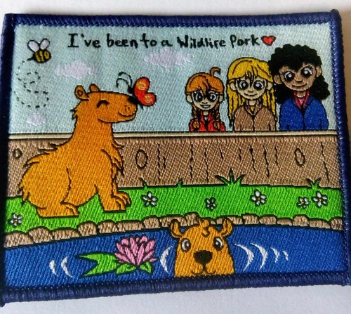 Girlguiding brownie guide - brownie,