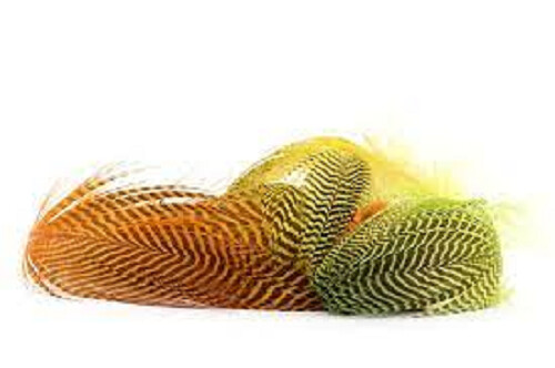 Dyed teal duck feathers - dyed, 2g