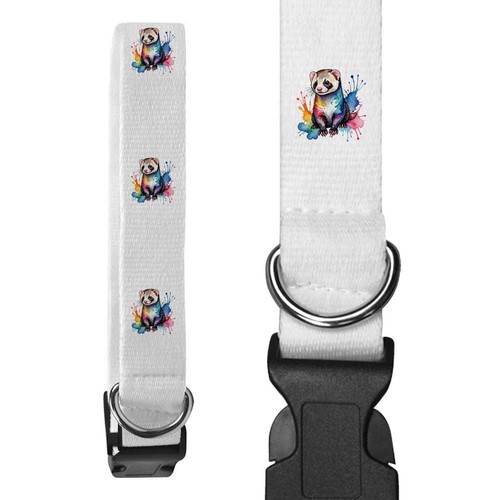 Colourful ferret dog collars - dog,