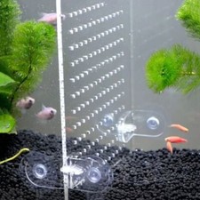Fish tank isolation - fish,