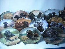 Choice of GOLDEN BLACK LABRADOR Plates Puppy Dog Franklin Danbury Mint Plate P1