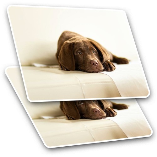 Rectangle stickers 5 cm - 2, x