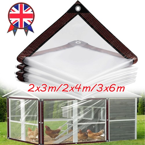 Clear tarpaulin - 2m,