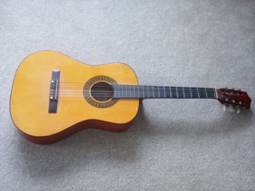 Accoustic guitar herald - accoustic,