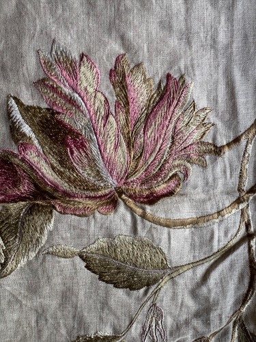 Baker tulip tree - baker,