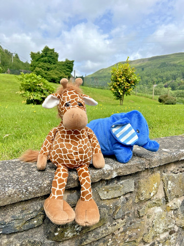 Large giraffe soft toy - large, blue
