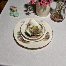 Royal Vale Bone China Tea Trio