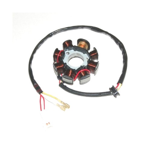 Electrosport stator for ktm - stator,
