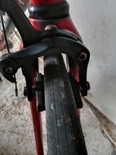 Genesis Equilibrium - Large -