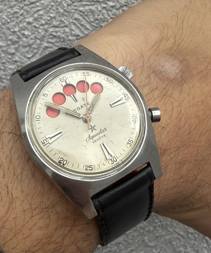 Aquastar regate vintage - aquastar,