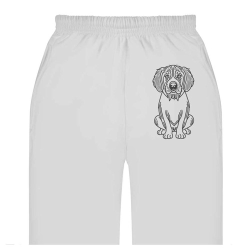 Clumber spaniel dog - spaniel, dog'